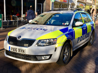 Illustration for article titled Our plod got a new motor.